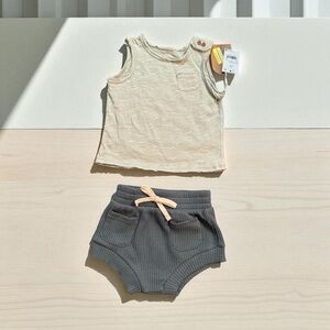 Cream and Gray Matching Diaper Covers Set